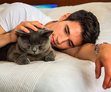 man patting cat on bed